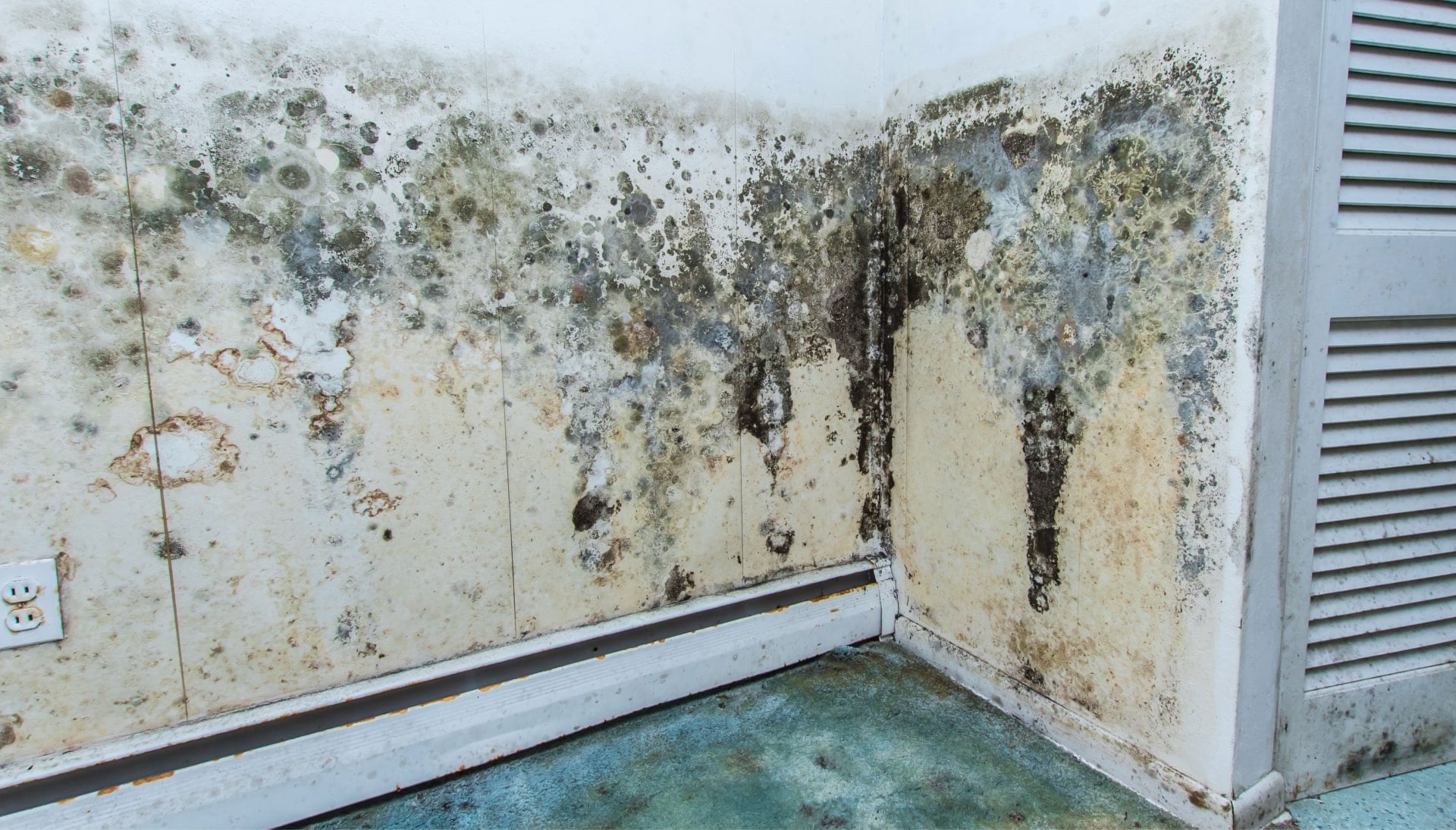 A mold remediation team using specialized techniques to remove mold damage and control odors in a Miramar property, with a focus on safety and efficiency